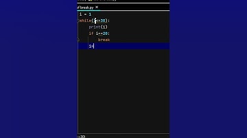 use of break statement in python