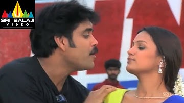 Nenunnanu Songs | Ryali Ravulapaadu Video Song | Nagarjuna, Aarti, Shriya | Sri Balaji Video