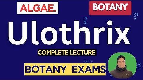 Ulothrix | Algae | Botany |#BotanyExamPrep 