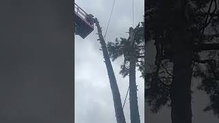 Автовышка в Москве и Московской области до 26 метров