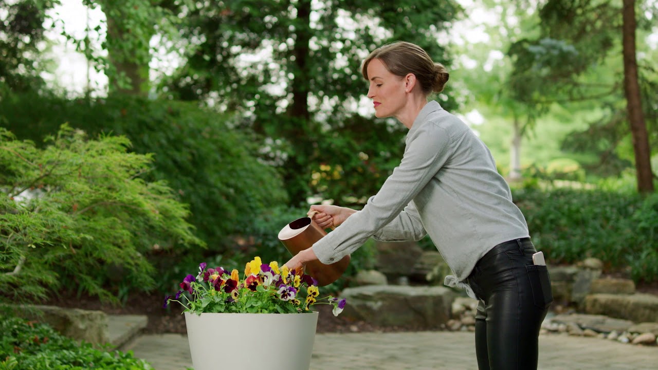 InOven Camera Pro Range YouTube