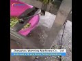 Automatic Green Bean Peeling #machine #food