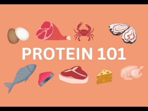 Protein 101 Protein 101 - YouTube