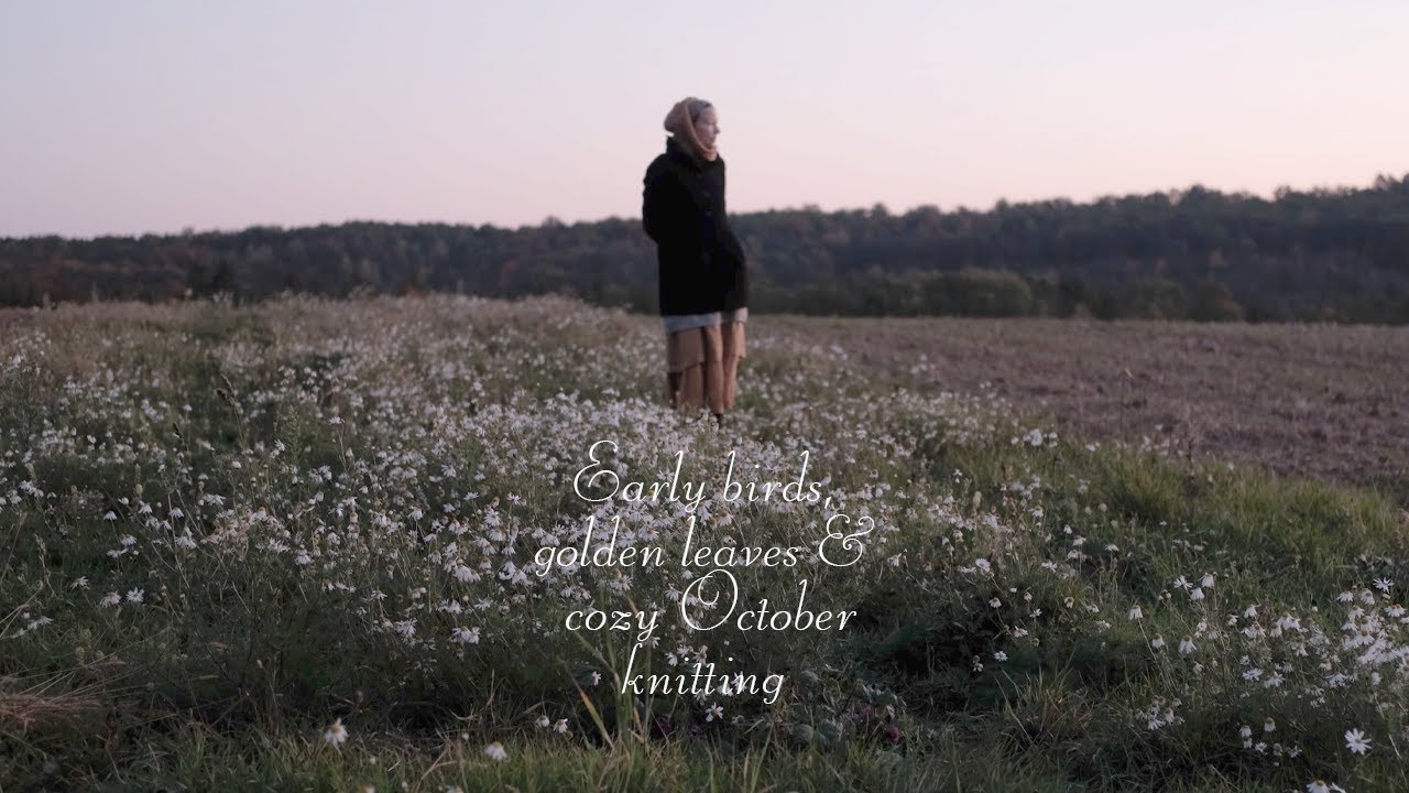 Early birds, golden leaves & cozy October knitting
