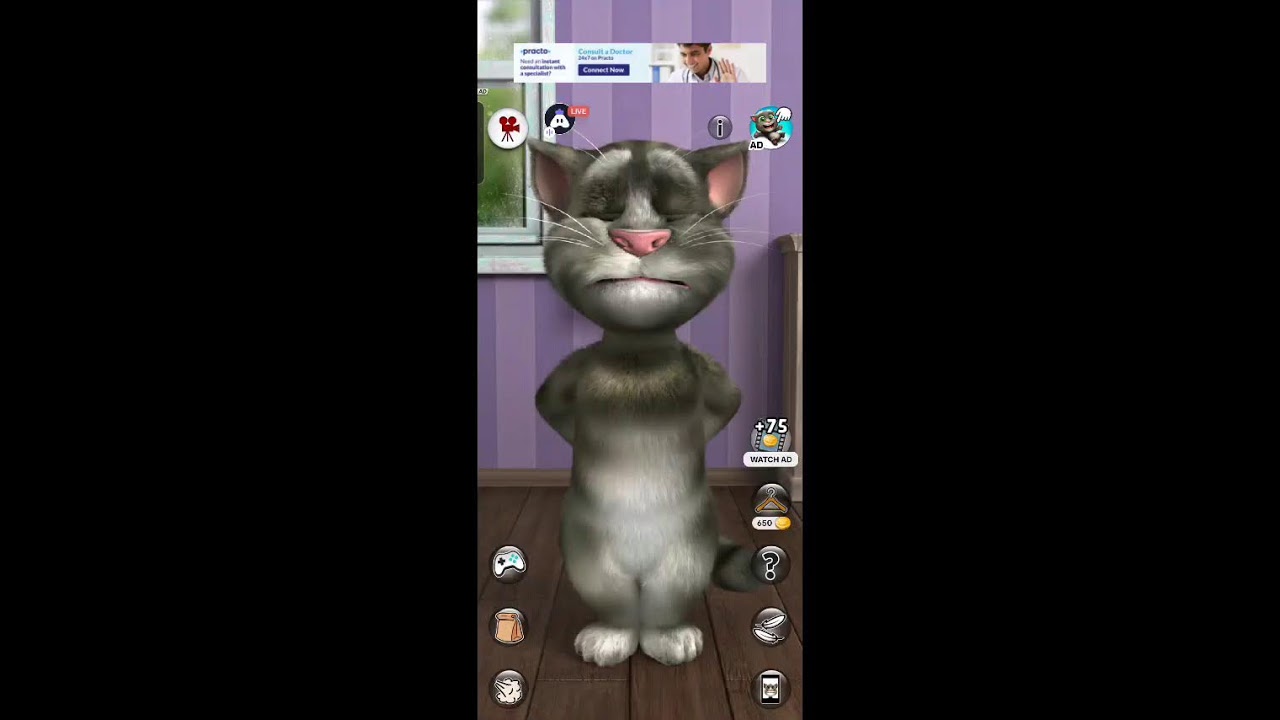 Cat live 44:Talking Tom Cat 2 : 👍 Good stream | Playing Solo | Streaming with Turnip