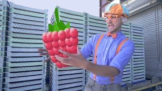 blippi raspberry factory tour learn machines for kids and fruit