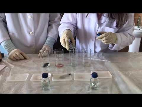 ლოგისტიკა და ქიმია