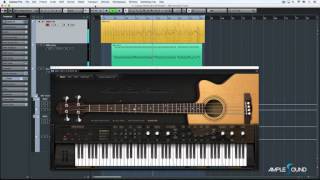 Ample Bass Acoustic Demo - Acoustic Funky