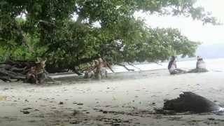 350 Global Day of Action - We are not drowning, we're FIGHTING - OFFICIAL TRAILER.