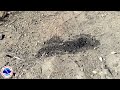 Pioneer Fire Soil Water Repellency Demonstration