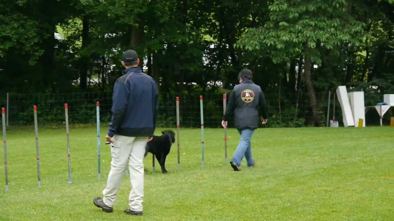 J-Lauf Karin Kira 20120602.mp4