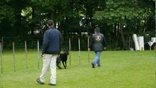 J-Lauf Karin Kira 20120602.Mp4