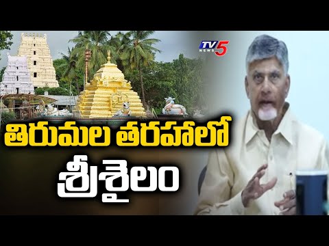 తిరుమల తరహాలో శ్రీశైలం : CM Chandrababu & Dy CM Pawan Key Meeting With Endowment Officials | TV5 - TV5NEWS