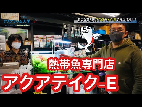 Undercover Report] Tropical Fish Specialty Store Aquatake-E's