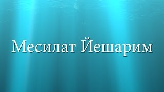 Месилат Йешарим Урок № 82. Половина шекеля - символ участия в исправлении мира. Месилат Йешарим Урок № 82. Половина шекеля - символ участия в исправлении мира.