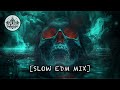 SLOW EDM MUSIC MIX 202X