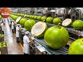 Inside The Coconut Milk Factory From Fresh Coconuts To Creamy Bottled Coconut Milk Full Process 