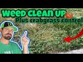How to kill existing crabgrass in the lawn and other weeds