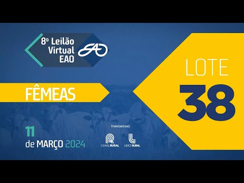 LOTE 38   EAO A8543