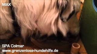 Max SPA Colmar