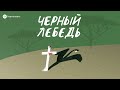 Трейлер подкаста «Черный лебедь»