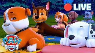 🔴 LIVE | Bedtime Cartoons With the PAW Patrol | PAW Patrol