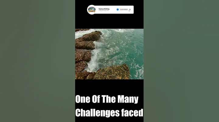 Shark Attacks Tuna!!! (Gimme My Fish Back) #SHORTS