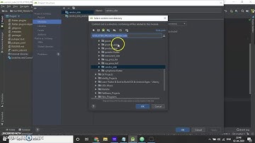 Android Studio “Project Structure” not Showing FLUTTER | DART error solved