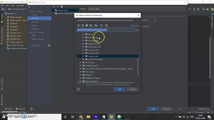 Android Studio “Project Structure” not Showing FLUTTER | DART error solved