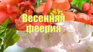 Весенняя феерия Spring extravagante