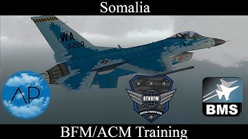 Falcon BMS - 669VFS - BFM/ACM Dogfight Training
