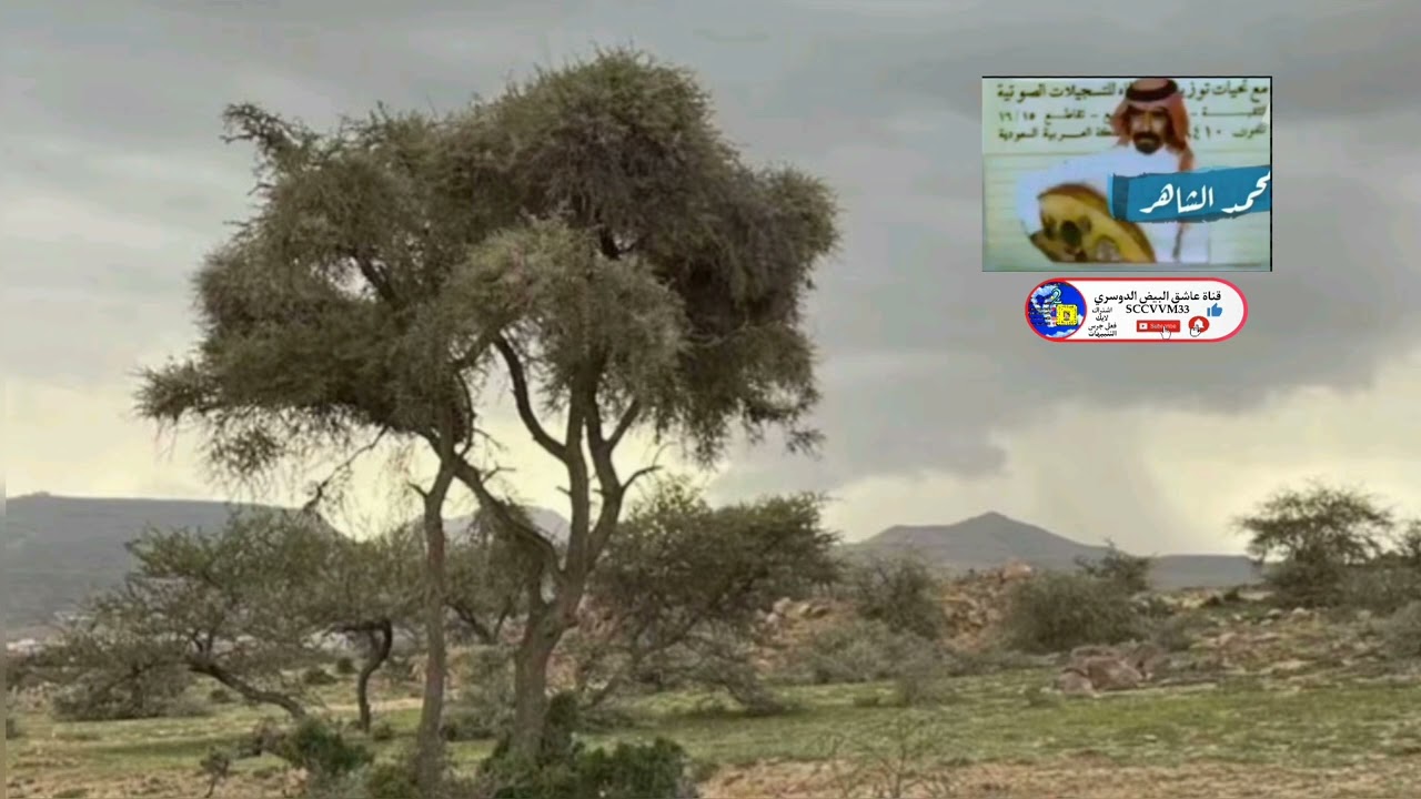 محمد الشاهر ...سلموا لي على خلي يا طروشً تمرونه