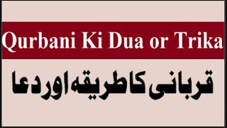 Qurbani ki dua | Eid ul Azha | Dua for Sacrifice an Animal | قربانی کی دعا | Bakra Eid