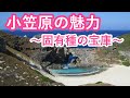 【解説付】固有種を生み出した海洋島、小笠原諸島-Ogasawara Islands, Japan-