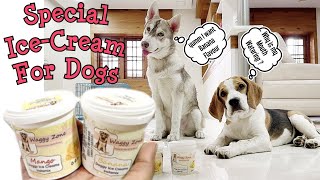 Special Ice Cream for Dogs Only | Champ & Wolfy  loved it !!!