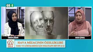 Demevi̇ Mi̇zacin Özelli̇kleri̇