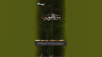 سورة المؤمنون كما لم تسمعها من قبل تلاوة روحانية بصوت حمزة بوديب 