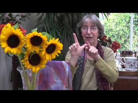 Hicketty picketty buttercup - identify and count numbers to five