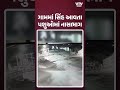 જાફરાબાદના કડિયાળી ગામમા શિકારની શોધમાં સિંહ ઘુસ્યો, પશુઓમાં મચી ભાગદોડ