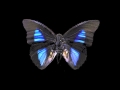 Gutterfly - Work It (Missy Elliot) FREE DOWNLOAD