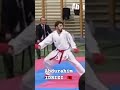 Karate idrizi elvanagjata champion jakozuky shkup skopje maqedoni shqiperi albania kosove