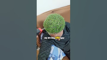 Người đàn ông điên rồ đã TRỒNG CÂY TRÊN ĐỈNH ĐẦU và lí do khiến bạn bất ngờ….. #xemmasoc  #shorts