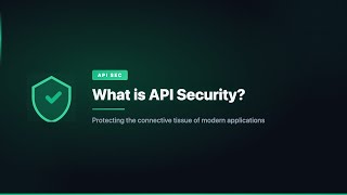 What is API Security?