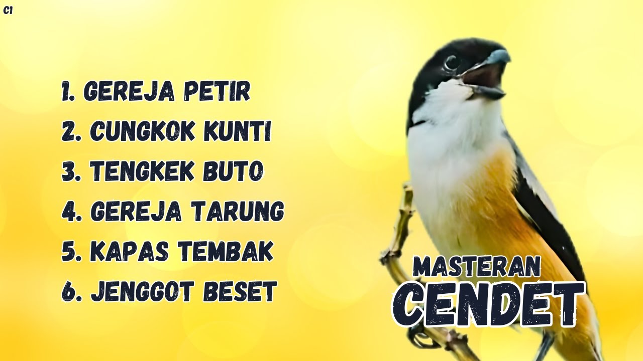 MASTERAN CENDET GEREJA PETIR, CUNGKOK KUNTI, TENGKEK BUTO, GEREJA TARUNG, KAPAS TEMBAK , JENGGOT
