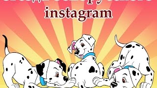 Звезда Instagram