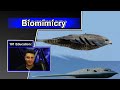 Biomimicry 101 | Innovation inspired by nature (10 Biomimicry examples)