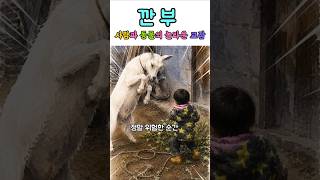 숏탐사 대표 영상 썸네일