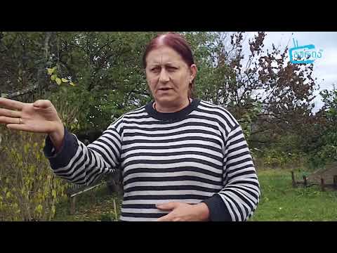 ბეტონის გზა სოფელ ძიმითში