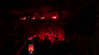 Pig's Blood - Taste the Fucking Poison