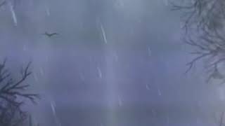 Kaçiririm _Firat Gürses